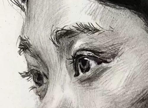 素描照片视频,从素描照片与视频捕捉瞬间之美