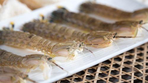 皮皮虾短视频,轻松娱乐，畅享生活瞬间