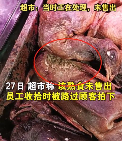 蛆视频,揭秘蛆虫世界的生存智慧与生态价值